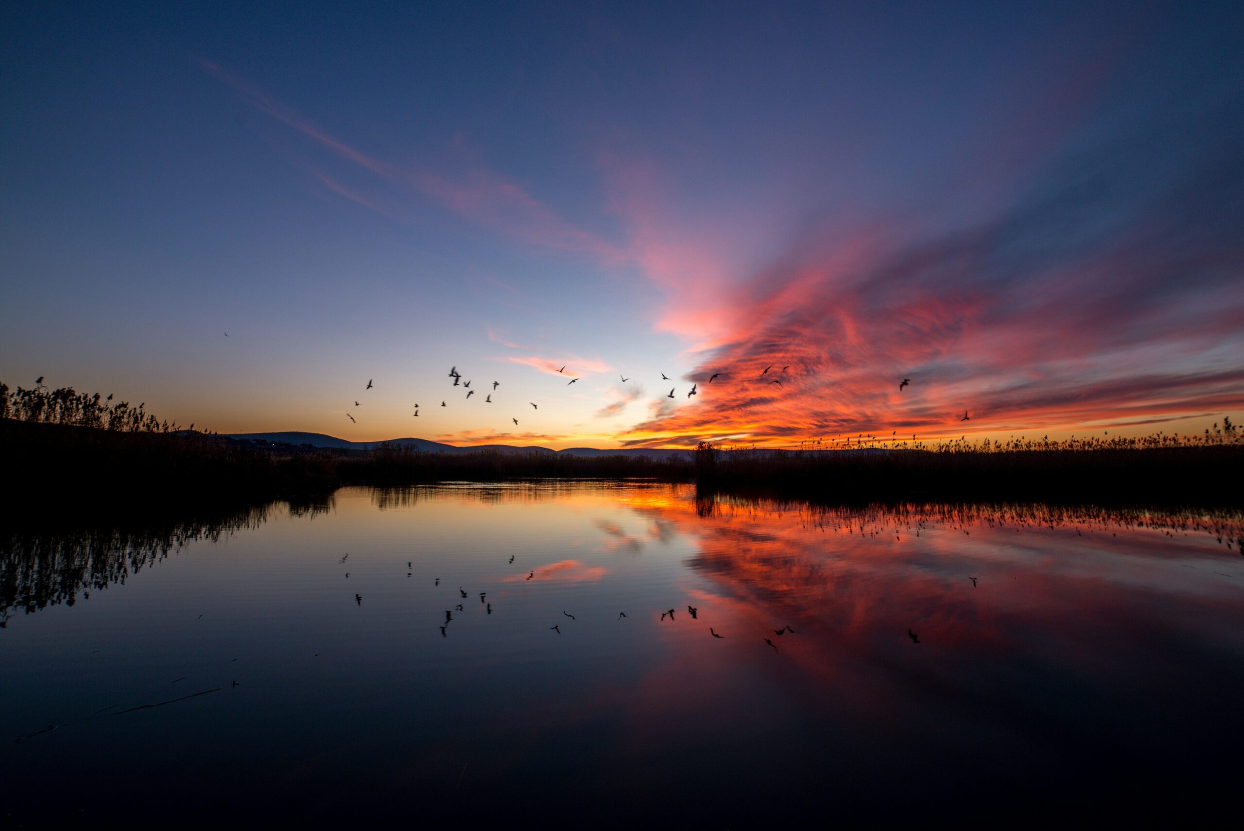 Visuale del Delta del Danubio, Romania, al tramonto